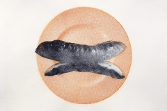 Gumprint 2020